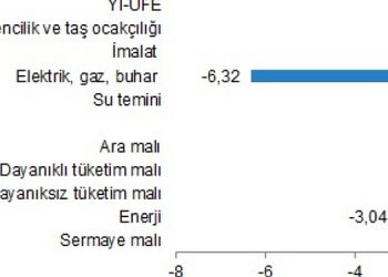 Yurt İçi Üretici Fiyat Endeksi, Ocak 2024