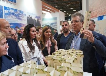 Zeytin Fidanları Fuarın Gözdesi Oldu