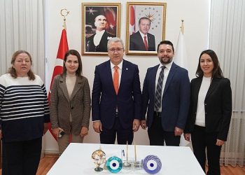 Zeytinyağı atıkları omurilik yaralanmalarında besin desteği olarak kullanılacak