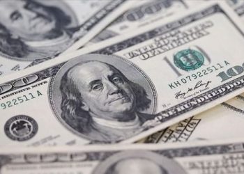 Ekonomistlerin yıl sonu dolar tahmini 40 TL’yi geçti