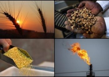 Emtia piyasasında tarım grubu pozitif ayrıştı