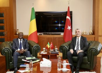 Bakan Bolat Malili mevkidaşı Diallo ile görüştü: Hedefimiz 500 milyon dolar ticaret hacmi