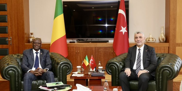 Bakan Bolat Malili mevkidaşı Diallo ile görüştü: Hedefimiz 500 milyon dolar ticaret hacmi