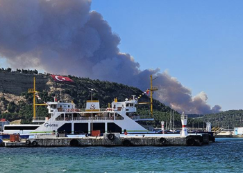 Çanakkale’de orman yangını kontrol altına alındı