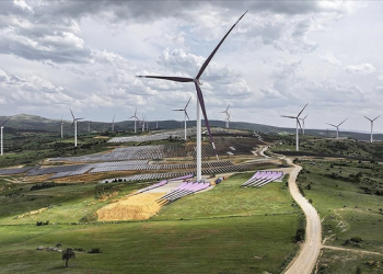 Rüzgardan elektrik üretiminde tarihi seviye