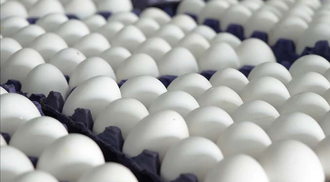 ‘Kuş gribi’ fırsatçılığı: Yumurta fiyatlarına yüzde 45 zam!