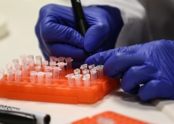 M çiçeği virüsüne karşı Japon aşısına onay