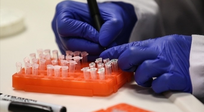 M çiçeği virüsüne karşı Japon aşısına onay