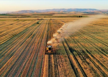 Çiftçilerin 279 milyon 878 bin TL destekleme ödemesi yapıldı