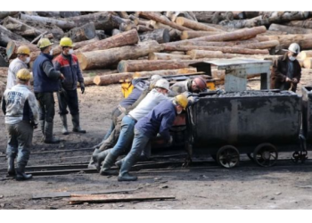 Bakan müjdeyi verdi: TTK’ya yeni işçi alınacak