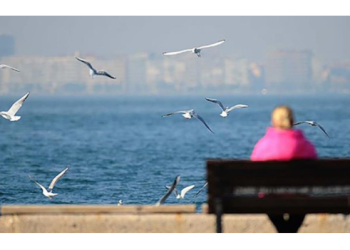 Hava sıcaklığı 49 ilde 25 derecenin üzerine çıktı