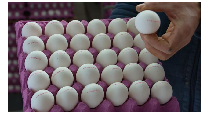 ABD, Türkiye’den yumurta alacak