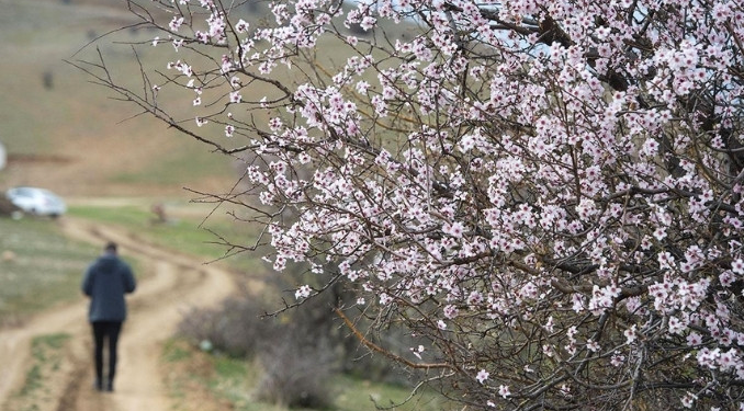 Hafta sonu bahar havası olacak