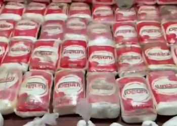 İstanbul’da 365 kilogram uyuşturucu ele geçirildi