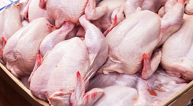 Türkiye’nin sevilen tavuk markasında ölümcül bakteri alarmı