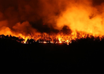 Bakan Yumaklı açıkladı: Bir günde 67 yangın!