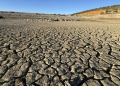 Ekonomiler için büyük tehlike kuraklık!