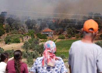 İzmir’de yine orman yangını