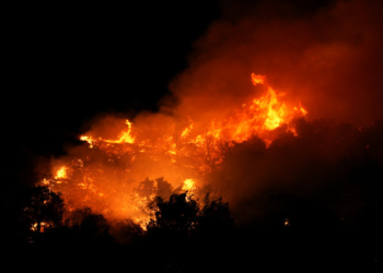 Orman yangınlarında 11 şüpheli gözaltına alındı