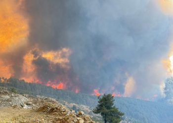 3 ilde alevlerle mücadele sürüyor: 6 mahalle tahliye edildi
