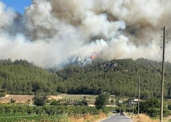 3 ilde yangınla mücadele devam ediyor: 1 mahalle tahliye edildi