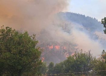 Bursa’da havai fişek yangını: 4 kişi gözaltına alındı
