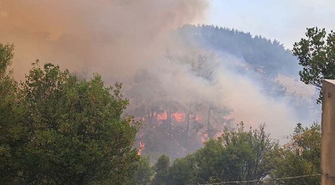 Bursa’da havai fişek yangını: 4 kişi gözaltına alındı