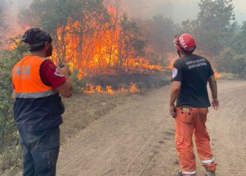 Eskişehir’den çok acı haber: 10 orman işçisi hayatını kaybetti