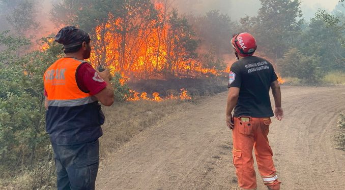 Eskişehir’den çok acı haber: 10 orman işçisi hayatını kaybetti