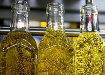 Yarı yarıya düşen zeytinyağı için ‘yokluk yılı’ uyarısı