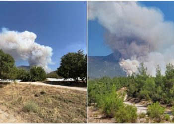 Denizli’de orman yangını