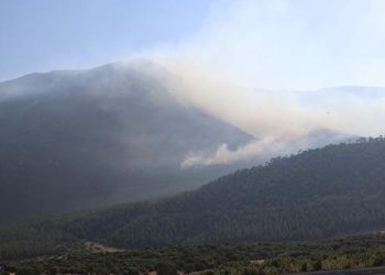 Denizli’deki orman yangını kontrol altına alındı