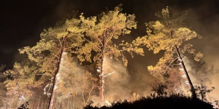 Antalya ve Muğla’da orman yangınları: 582 kişi tahliye edildi