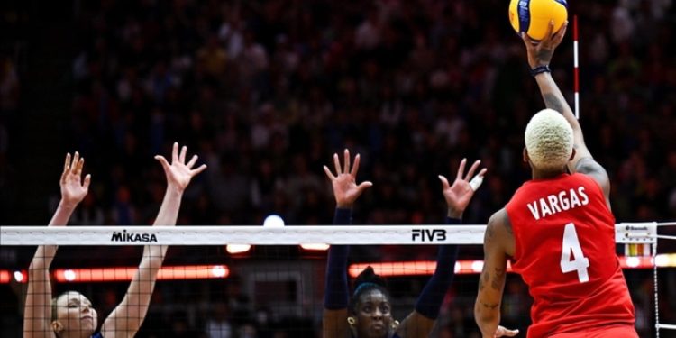 Teşekkürler Filenin Sultanları